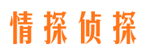 让胡路市侦探调查公司